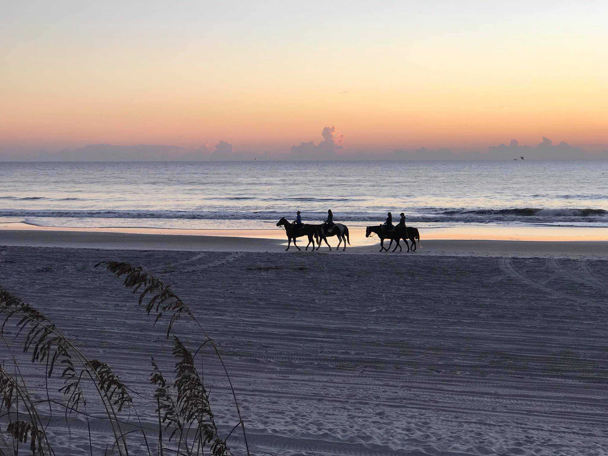 Is Amelia Island Worth Visiting in 2024? Middletons on the Move