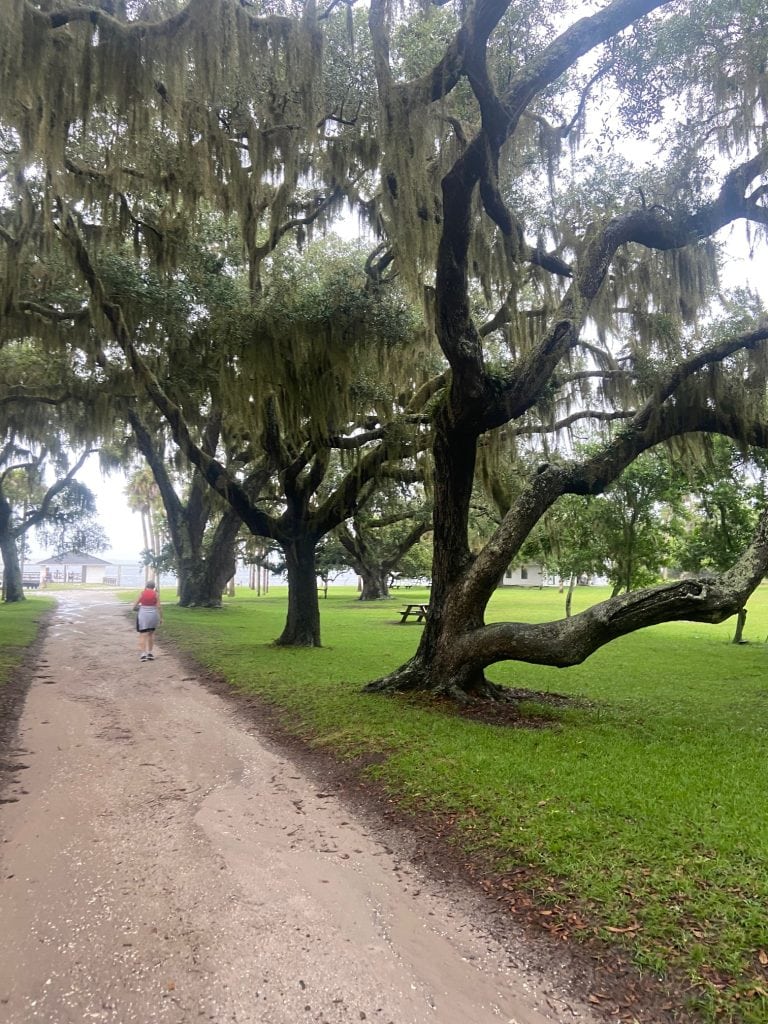 A woman walks along a damp dirt path lined with sprawling oak trees draped in Spanish moss on Cumberland Island. The trees arch overhead, creating a shaded tunnel effect, with a soft green lawn on either side and a white building visible in the distance.