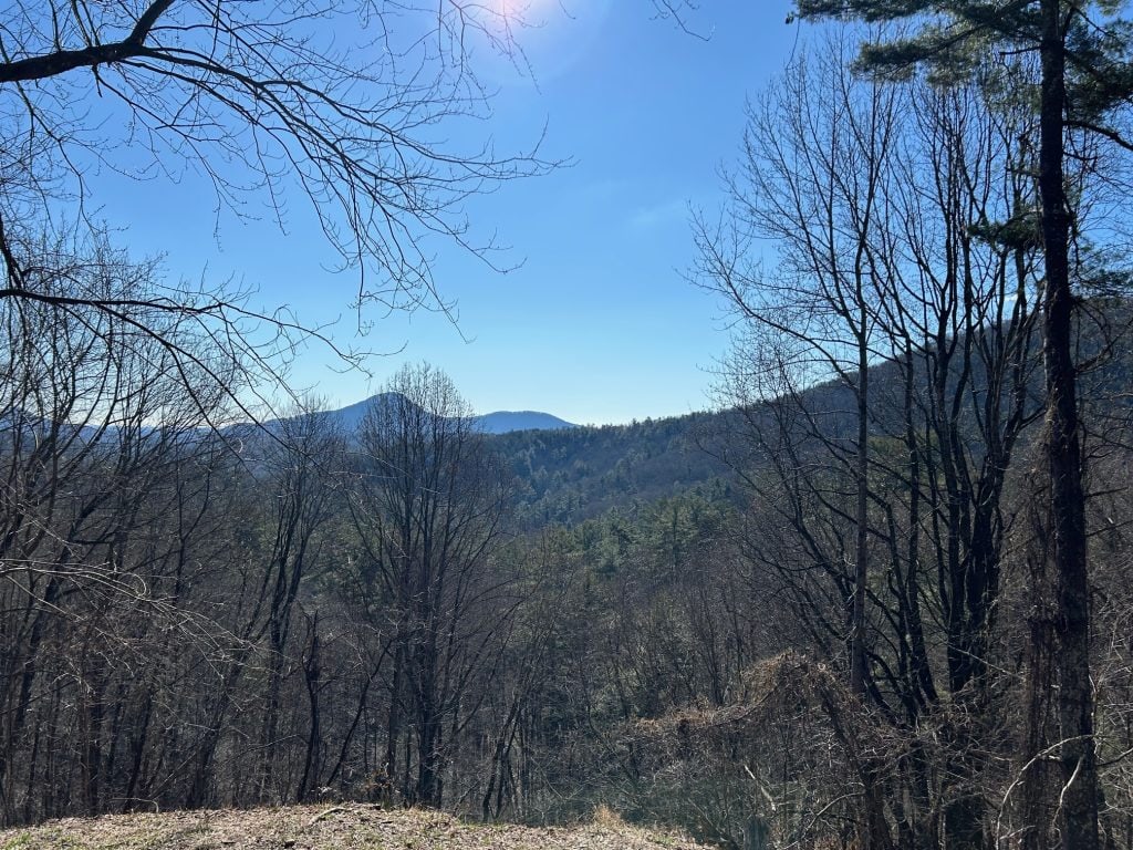 View from a mountain overlook in North Georgia, with layers of forested ridges fading into the distance under a clear blue sky. Bare winter trees frame the foreground, allowing for an expansive look at the rolling Appalachian landscape.