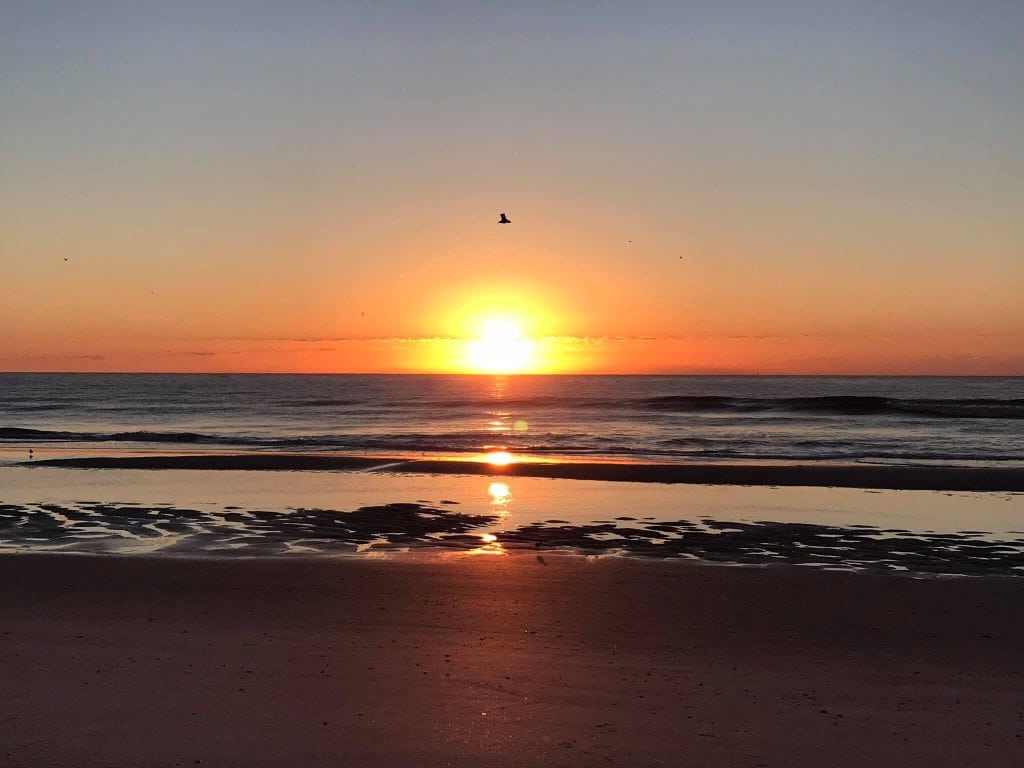 Sunrise over the Atlantic Ocean on Amelia Island with golden and orange hues reflecting off the wet sand and calm waves. A few birds are flying across the sky, adding to the peaceful, early morning beach scene.
