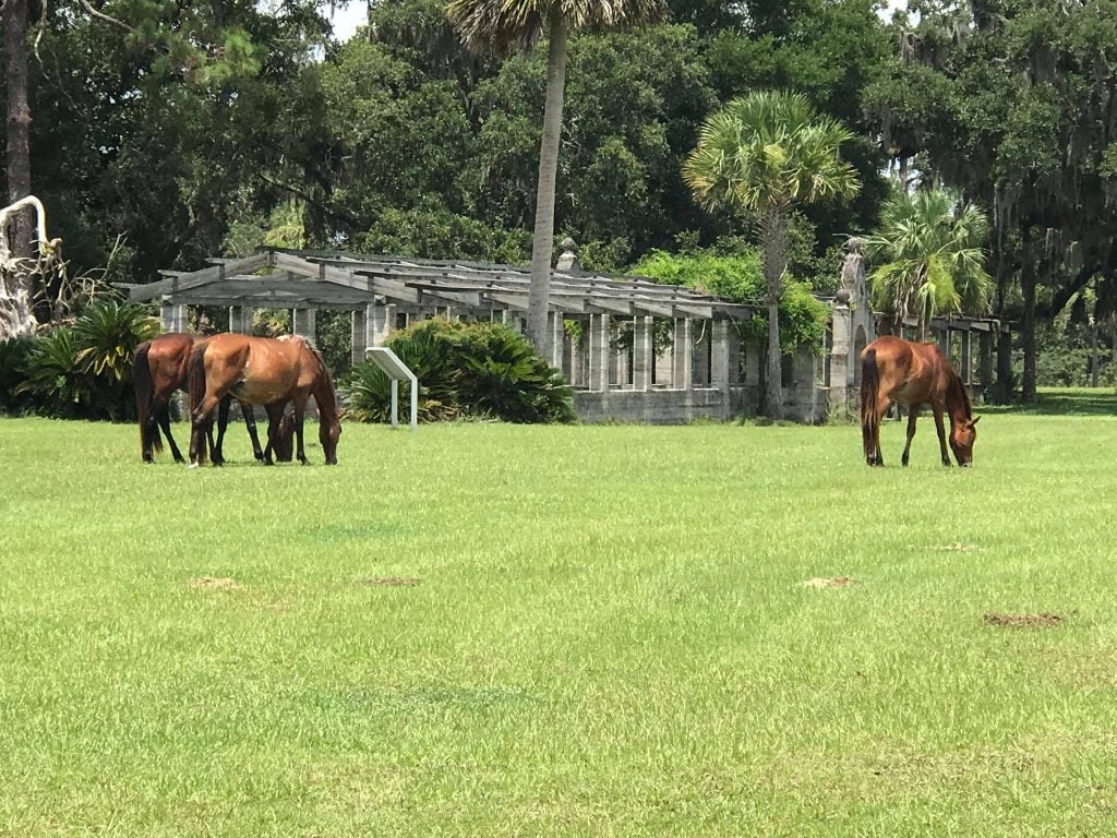 Three wild horses graze on a grassy lawn in front of the Dungeness Ruins, a weathered stone structure framed by palm trees and dense forest. This iconic view captures the untamed beauty of Cumberland Island.