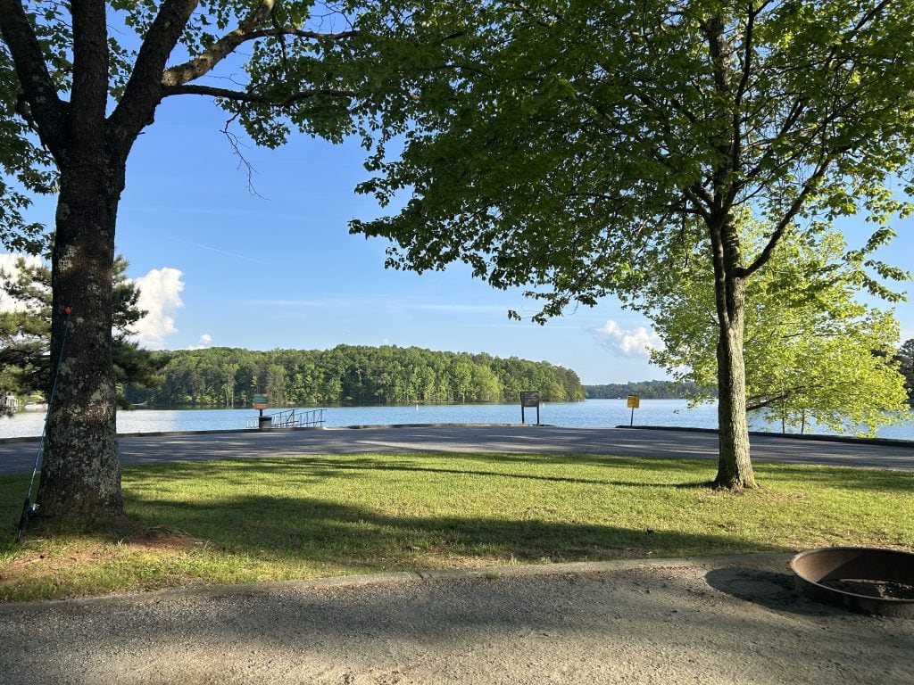 A shaded lakeside campsite at Bald Ridge Campground overlooks a quiet boat dock and tree-lined shoreline under a clear blue sky. A fishing rod leans against a tree in the foreground, with a fire ring and picnic area nearby.