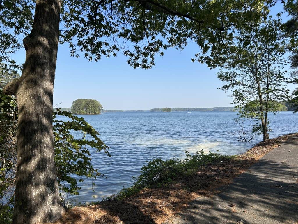 Shaded lakeside view from a walking path at Sawnee Campground, looking out over the calm waters of Lake Lanier with small forested islands in the distance. Tall trees frame the scene, casting dappled shadows on the ground.