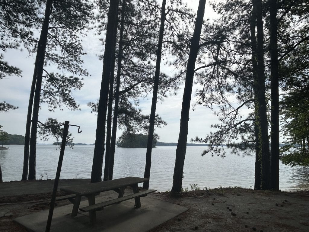 Shaded lakeside picnic area at Sawnee Campground on Lake Lanier featuring a concrete table and bench set beneath tall pine trees. The view looks out over the calm water toward small forested islands under an overcast sky.