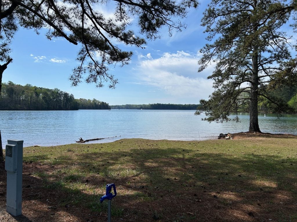 Peaceful lakefront campsite at Bald Ridge Campground with a grassy area, water spigot, and electrical hookup in the foreground. A large pine tree shades the shoreline, overlooking the calm blue water and wooded banks across the lake.