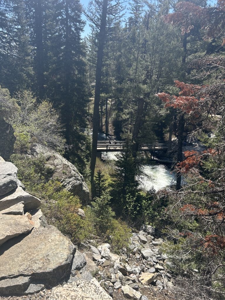 A narrow wooden bridge crosses a rushing stream deep in a forested section of the Jenny Lake hike to Inspiration Point. Surrounded by tall pine trees and rocky terrain, the scene showcases the natural beauty and variety along the trail.