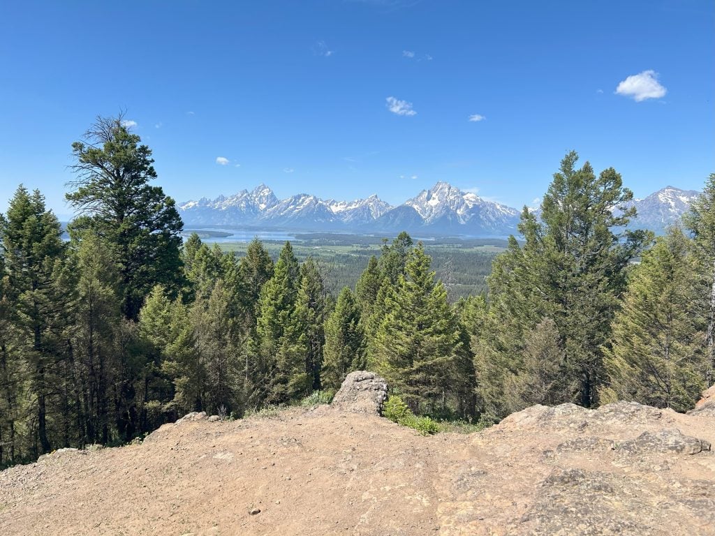Snow-capped mountains rise sharply in the distance beyond a green forest, with a winding river visible at their base. The foreground features a rocky, sunlit overlook under a clear blue sky.
