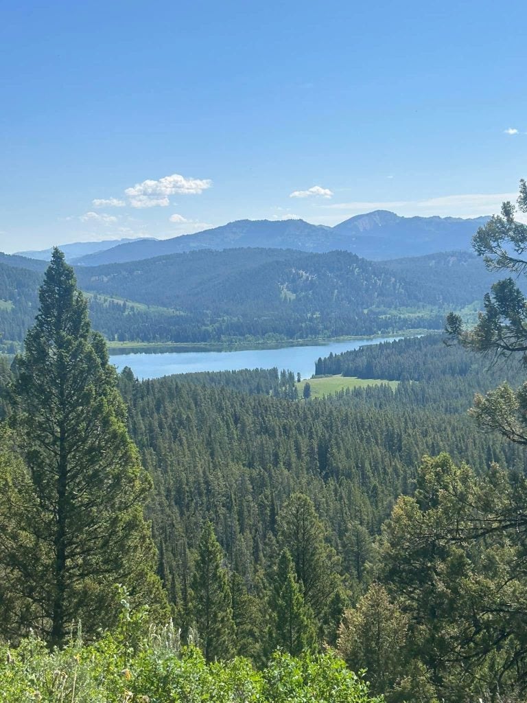 A serene lake winds through a dense evergreen forest, surrounded by rolling green hills and distant mountain peaks. The scene is bathed in bright summer sunlight under a clear blue sky with a few scattered clouds.