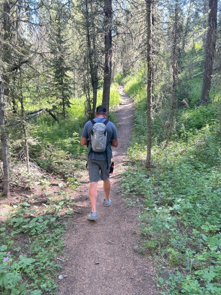 Alan wearing a backpack and hiking gear walks along a narrow dirt trail through a shaded forest. Sunlight filters through the tall trees, illuminating patches of green undergrowth along the path.