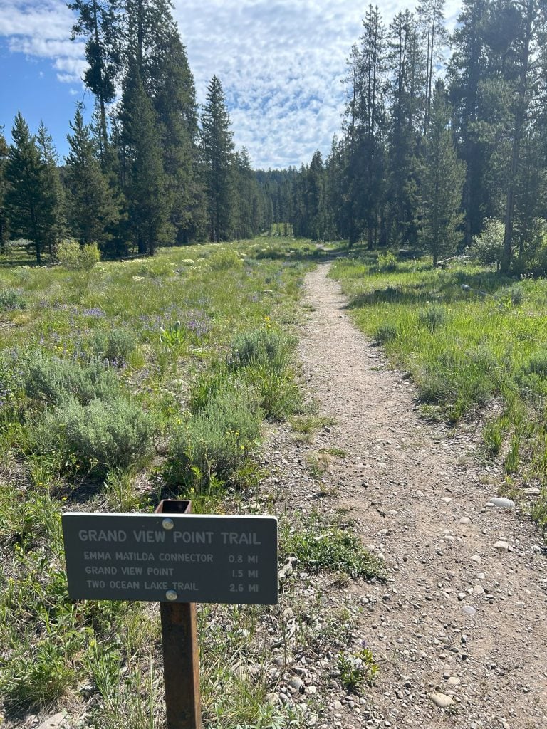 A small trail sign reading “Grand View Point Trail” lists distances to nearby trails and destinations, set beside a dirt path winding through a sunlit meadow. Tall evergreen trees border the scene under a partly cloudy blue sky.