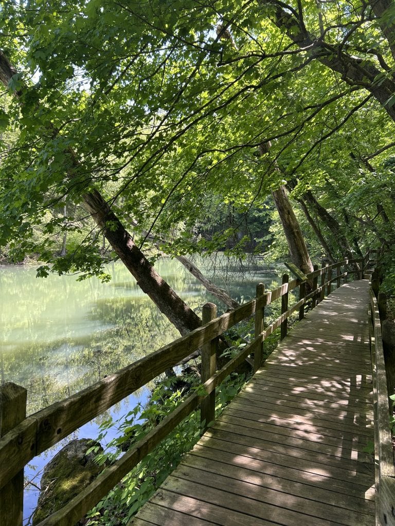 A peaceful wooden boardwalk winds through lush green forest alongside the clear, still waters of Ha Ha Tonka Spring in Missouri. Tall trees arch overhead, casting dappled sunlight onto the path and reflecting gently in the spring’s surface. The setting feels serene and inviting, ideal for a quiet nature walk.