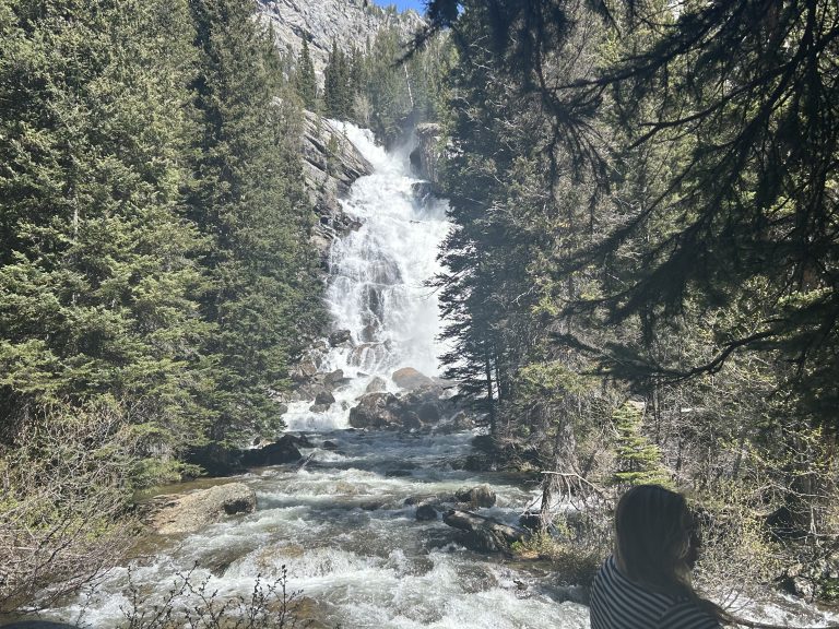 A wide, powerful waterfall cascades down a rocky cliff surrounded by dense pine trees along the Hidden Falls trail in Grand Teton National Park. A woman in a striped shirt stands at the edge of the stream, gazing at the rushing water under a bright, clear sky.