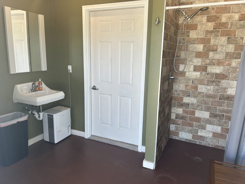 Spacious bathroom at Hidden Falls Cabins & RV Park featuring a walk-in shower with a tiled wall and handheld showerhead, a wall-mounted sink with mirror, a trash can, and a compact dehumidifier. The room has green walls, a reddish-brown floor, and a white door.