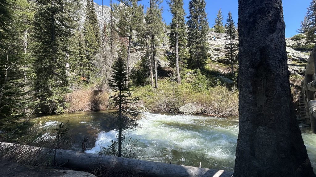 A fast-flowing mountain river rushes beneath a wooden footbridge, surrounded by dense evergreens and rocky slopes. Sunlight highlights the churning whitewater as it winds through the forested canyon.