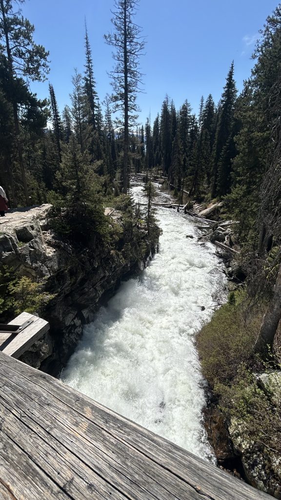 A powerful stream of whitewater rushes through a rocky gorge surrounded by dense pine forest, viewed from a wooden bridge along the Jenny Lake hike to Inspiration Point. The scene captures the natural beauty and rugged terrain of the trail on a sunny day.