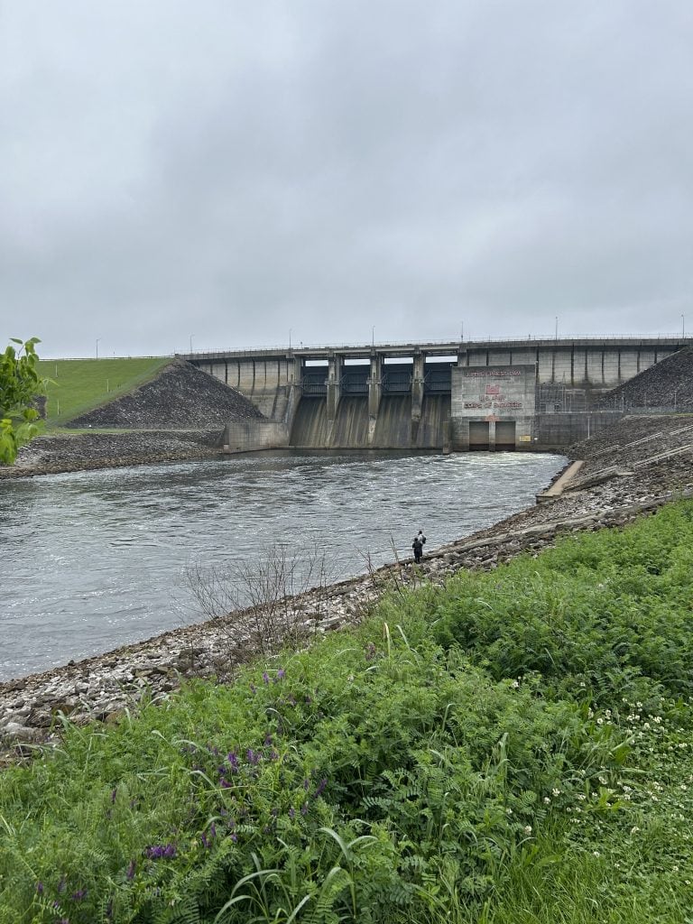 View of the J. Percy Priest Dam on a cloudy day, with water flowing through its gates into a river below. A lone person stands on the rocky shoreline, fishing near the base of the dam, while green vegetation and wildflowers fill the foreground.