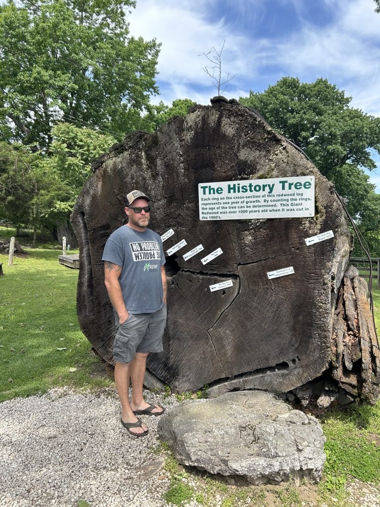 A man wearing sunglasses, a baseball cap, and a t-shirt stands in front of a massive cross-section of a redwood tree known as "The History Tree." The tree rings are labeled with significant historical events, and a sign explains that the tree was over 1,000 years old when it was cut in the 1960s. The setting is a grassy park with surrounding trees under a partly cloudy sky.