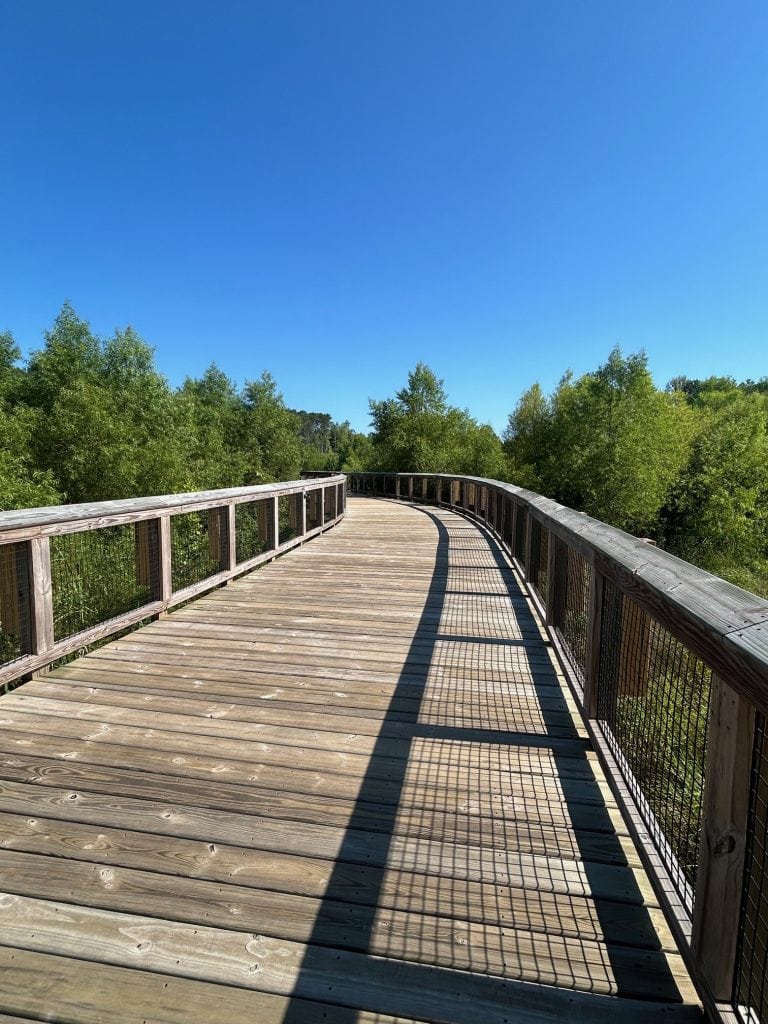 Wooden pedestrian bridge at Cumming City Center curving gently through a lush green forest, with shadows from the railing cast across the planks under a bright blue sky.