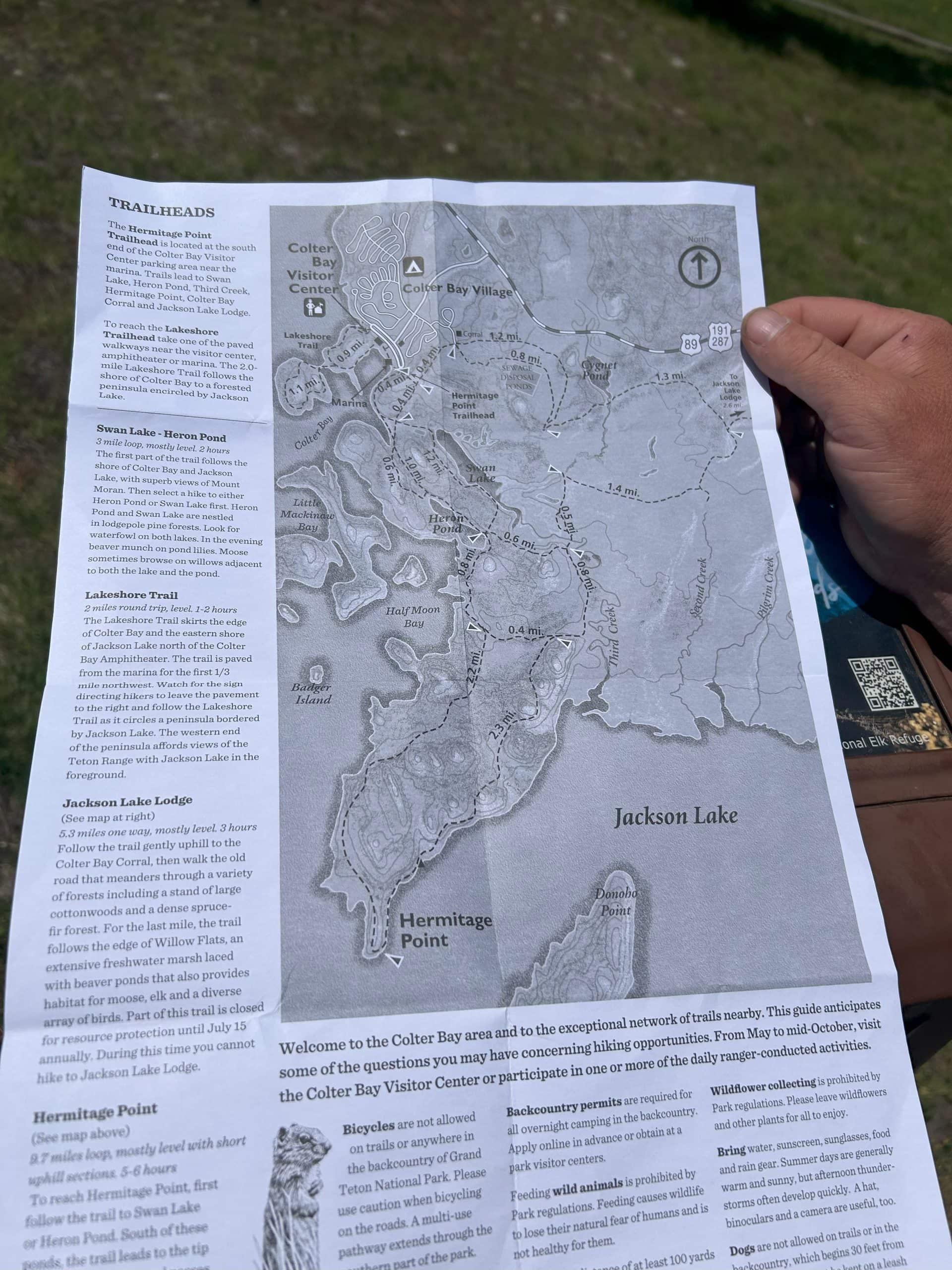 Easy Hike in Grand Teton: Lakeshore Trail at Colter Bay