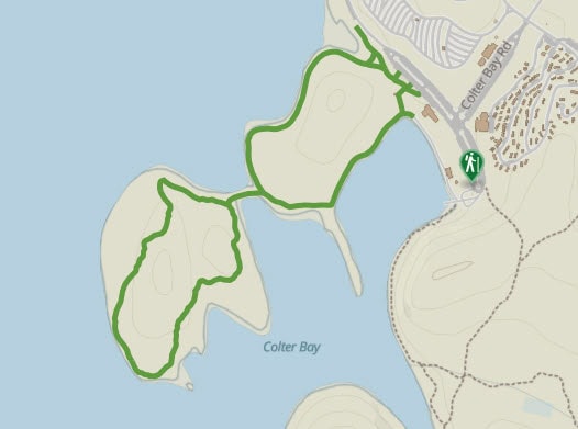 A trail map of Colter Bay in Grand Teton National Park shows a green hiking route looping around two peninsulas extending into the water, with paths starting near Colter Bay Road and the visitor area.