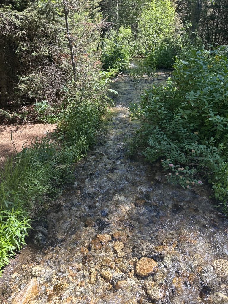 A shallow, clear stream flows over golden-brown rocks, surrounded by lush green plants and trees. Sunlight filters through the canopy, casting bright reflections on the rippling water.