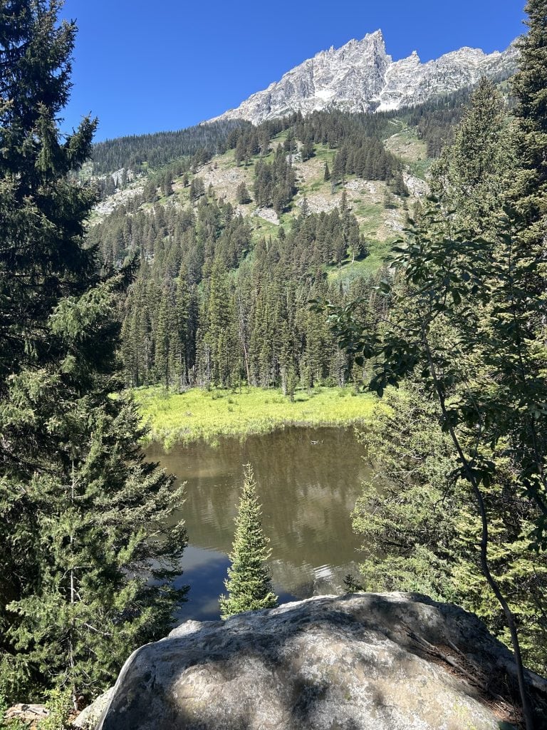 A calm mountain pond reflects surrounding evergreens, framed by dense forest and a rocky foreground ledge. Behind the trees, a steep, rugged peak rises under a clear blue sky.