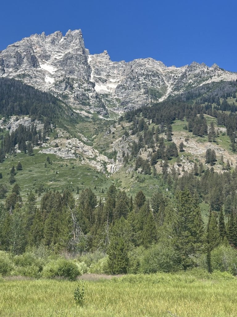 A rugged mountain peak with patches of snow rises sharply against a clear blue sky. Below, dense evergreen forests and grassy meadows spread across the lower slopes, creating a lush green contrast to the rocky summit.