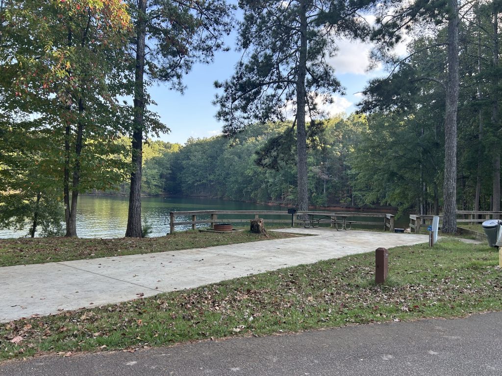 Lakeside campsite at River Forks Park on Lake Lanier featuring a concrete pad, picnic table, fire ring, and grill, all surrounded by tall pine trees. The site overlooks calm, green water with forested shoreline in the background under a partly cloudy sky.