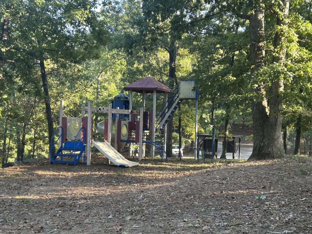 Playground at River Forks Park on Lake Lanier set among tall pine trees, featuring a large play structure with ramps, slides, climbing areas, and blue dome-shaped roofs. The playground is surrounded by wood chips and a grassy area, with a trash bin nearby.