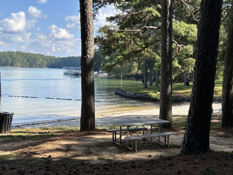 Shaded picnic area at Shoal Creek Campground with a metal picnic table near a sandy swimming beach, surrounded by tall pine trees. The calm lake water is bordered by a grassy shoreline and a distant white dock, with swim area markers floating in the water.