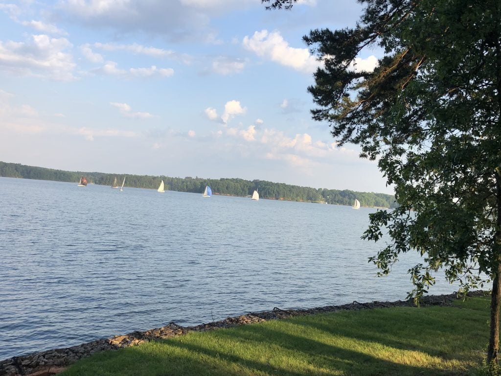 A row of sailboats with colorful sails glides across Lake Lanier under a soft evening sky, viewed from the grassy shoreline at Old Federal Campground. Trees frame the right side of the image, adding to the peaceful, scenic setting.