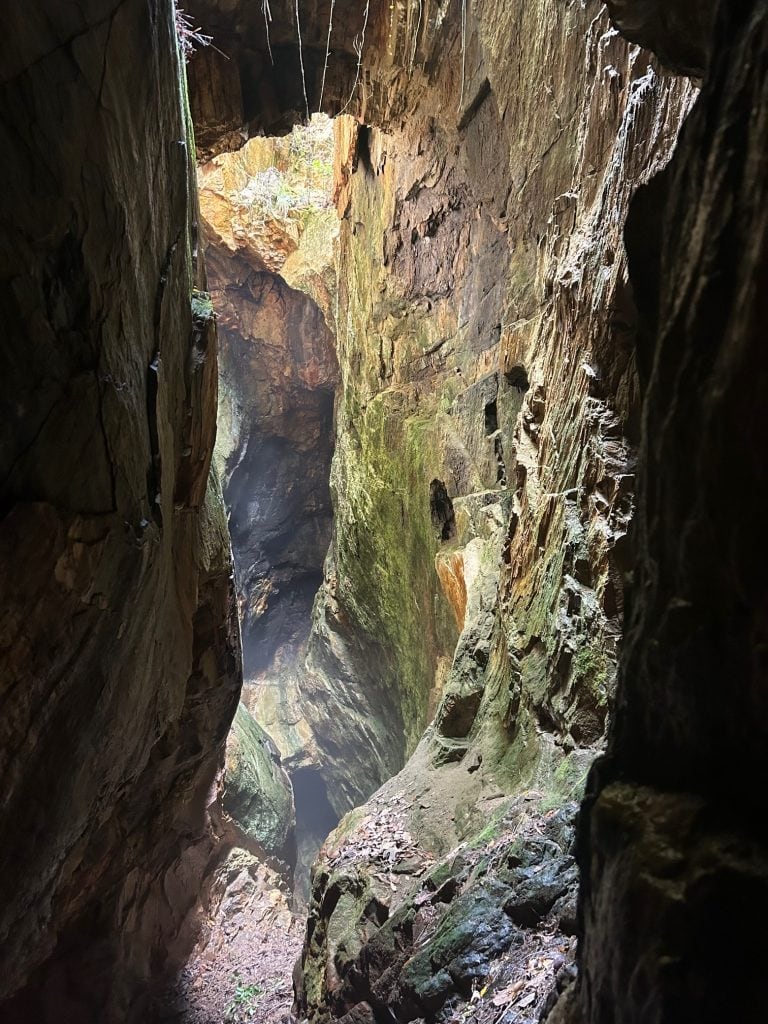 Looking up from within a cavernous tunnel at the Consolidated Gold Mine in Dahlonega, natural light filters through the rocky opening above, revealing layers of jagged stone and moss-covered walls. The scene captures the raw, earthy textures of the underground mine entrance.