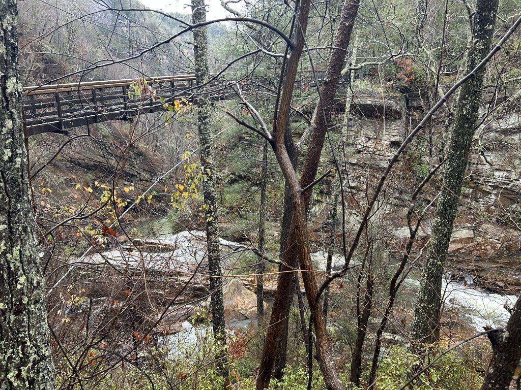 A narrow suspension bridge stretches across the misty Tallulah Gorge, partially obscured by slender, lichen-covered trees in the foreground. Below, a rocky riverbed winds through the gorge, surrounded by steep cliffs and late autumn foliage clinging to bare branches.