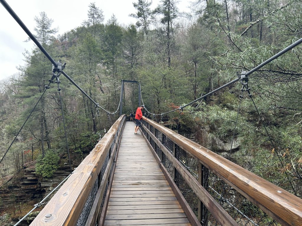 A person in a red jacket walks across the Tallulah Gorge suspension bridge, surrounded by dense forest and towering evergreens. The wooden planks and sturdy cables of the bridge create a dramatic perspective leading into the misty, tree-covered cliffs beyond.
