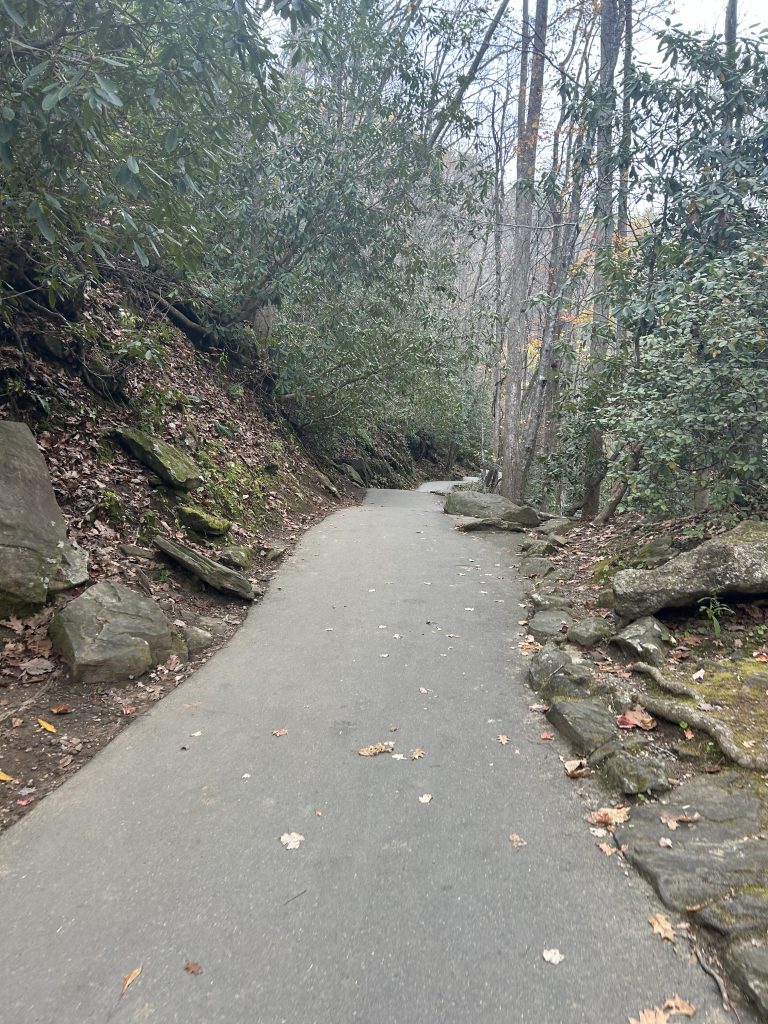 A paved trail winds gently uphill through a forest with mossy rocks and scattered autumn leaves, leading to Anna Ruby Falls in Georgia's Chattahoochee National Forest.