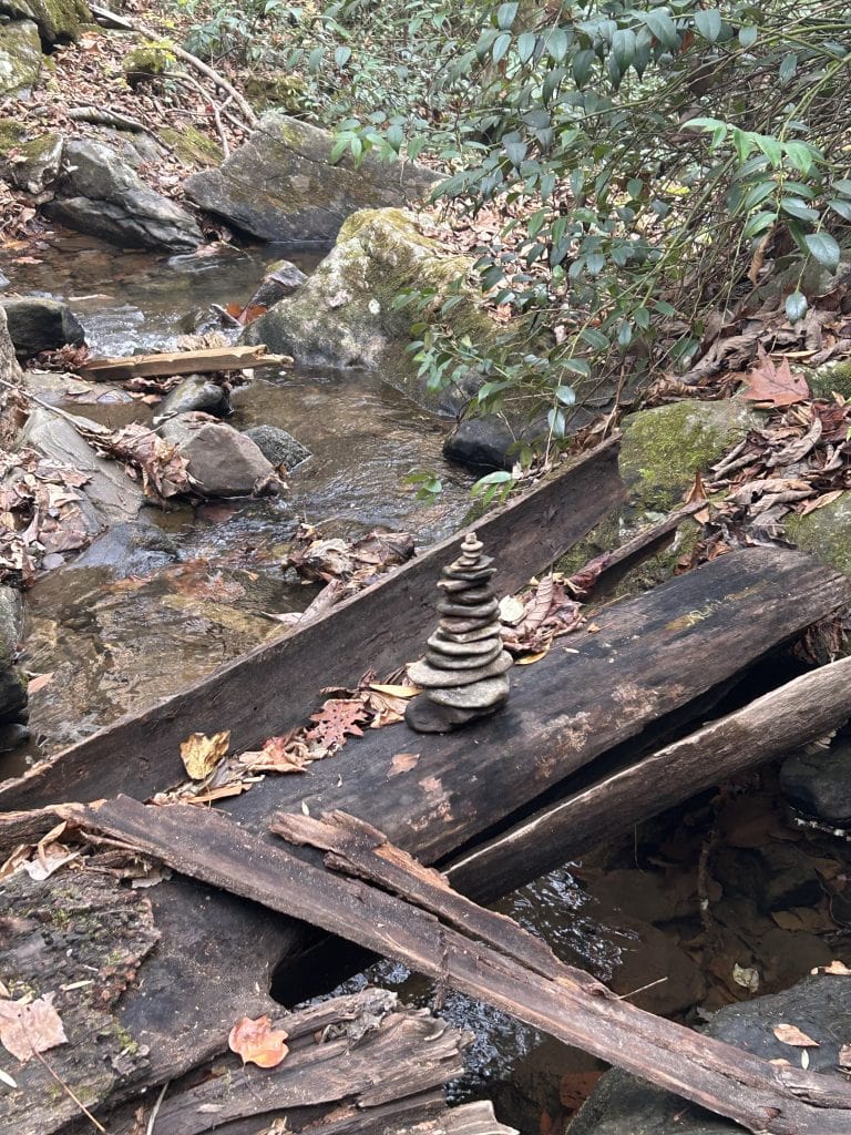 A carefully stacked tower of flat stones rests on a mossy, weathered log above a shallow forest stream, surrounded by fallen leaves, rocks, and leafy undergrowth near Anna Ruby Falls.